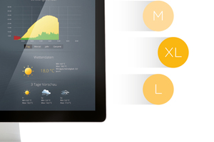  Das „Solar-Log Web Enerest“-Portal gibt es in den drei Varianten M, L und XL. 