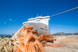  Auch der Wirkungsgrad eines Schiffes ist durch Schwerölmischungen wie auch Schadstoffausstoß meist unbekannt. 