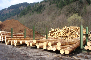  Holzbrennstoffe sind Nebenprodukte der Holzindustrie sowie der Land- und Forstwirtschaft. Holzpellets wurden im Jahr 2016 zu 90 % aus Sägeresthölzern hergestellt.  