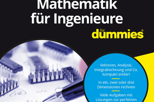  Das Übungsbuch Mathematik für Ingenieure für Dummies liefert ... 