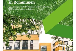  dena-Leitfaden „Energiemanagement und Energiespar-Contracting in Kommunen“  