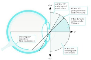  Die biologische Wirksamkeit (melanopische Wirkung) des Lichts ist auch abhängig vom Einfallswinkel des Lichts in das Auge. Im melanopisch sensitiven Netzhautbereich befinden sich gehäuft die blauempfindlichen Rezeptoren ipRGC. [4] 