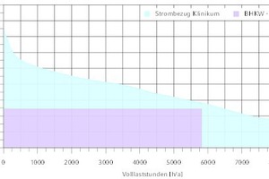  Darstellung der Jahresdauerlinie des Strombezugs und Eigenerzeugung, Jahr 2017 