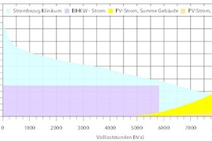  Darstellung der Jahresdauerlinie des Strombezugs und Eigenerzeugung 