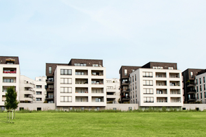  In nächster Nähe zur Goethe-Universität befinden sich die sechs Passivhäuser der ABG in Frankfurt Riedberg. 