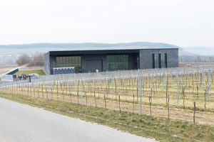  Die Vinothek wurde vom Deutschen Weininstitut ausgezeichnet und zählt zu den Top 50 der Vinotheken in Deutschland.  