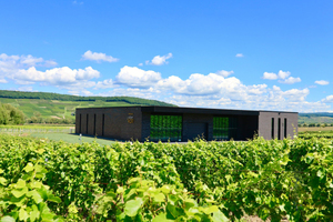  Das Weingut Ludger Veit liegt in Osann-Monzel im Moseltal und ist bekannt für seinen besonders hohen Anteil an roten Rebsorten 