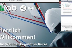  Das am 19. Mai 2020 durchgeführte Web-Seminar ... 