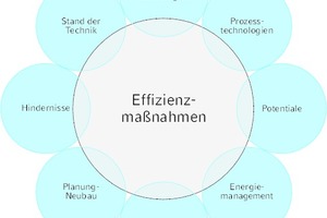  Effizienzmaßnahmen – Einflüsse und Hintergründe 