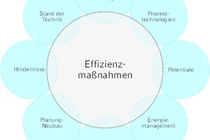  Effizienzmaßnahmen – Einflüsse und Hintergründe 