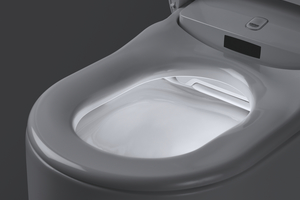  Für Komfort und Orientierung sorgt ein Nachtlicht, so z. B. bei dem Dusch-WC „Sensia Arena“ von Grohe 