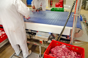  Der Fleisch- und Wurstwarenhersteller nutzt ein UV-C-Banddesinfektionssystem an seinem Zerlegeband 