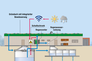  Schema der Regenwasserbewirtschaftung beim Neubau des SSC-Vereinsheims. Mit Fertigstellung im November 2023 werden 100 % des Regenwassers auf dem Gelände bewirtschaftet. Ein Kanalanschluss für Regenwasser existiert nicht. 