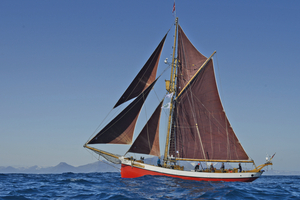  Das Forschungsschiff „Dagmar Aaen“. 