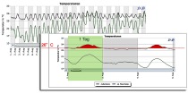 Simulationssoftware „Sommerlicher Wärmeschutz DIN 4108-2 thermische Gebäudesimulation“ 