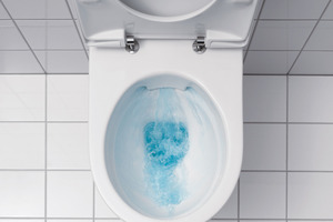  Spülrandloses WC der Serie „Rimfree“ von Keramag 