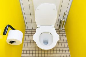  Die Kinder-WC-Sitze bestehen aus körperfreundlichem Thermoplast und sind mit seitlichen Griffen für den sicheren Halt ausgestattet 