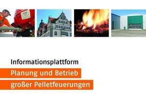 Fortbildungsplattform „Planung und Betrieb großer Pelletfeuerungen“ Deutsched Pelletinstitut (DEPI) 