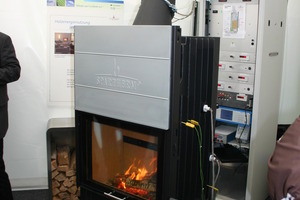  Woche der Umwelt 2012 Foto mcl 
