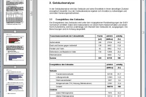  BAFA-Musterberatungsbericht mit BKI-Vorlage 