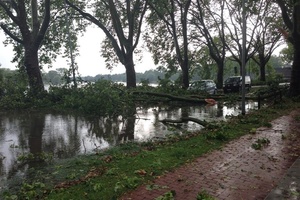  Wasser auf der Straße, umgestürzte Bäume, Äste und Laub auf dem Fußgänger- und Fahrradweg – auch am Aasee zeigte sich ein Bild der Verwüstung.  