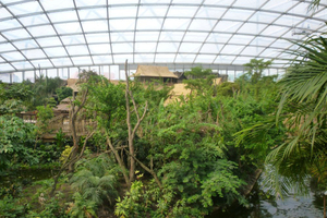  Mit „Metasys“ bietet der Zoo Leipzig auch tropischen Pflanzen das Klima ihres natürlichen Lebensraumes und spart dabei Energie 