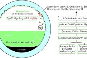  Schema zur Entstehung von  biogener Schwefelsäurekorrosion im Abwasserkanalsystem, nach: Bock, E.; Sand, W.; Pohl, A. 