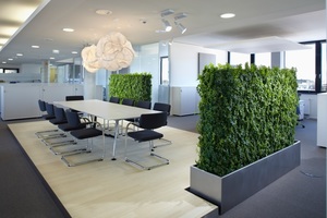  Modulare Pflanzenwände im Büro bzw. Großraumbüro; Pro 1 m² Pflanzenwand werden ca. 1000 Setzlinge eingepflanzt, und pro 1 m² verdunsten ca. 3,5 l Wasser innerhalb von 24 h 