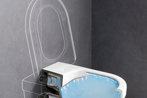  Das „DirectFlush“-WC ist so konstruiert, dass komplett ausgespült werden kann , ohne dass Wasser über den Rand spritzt 