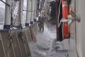  Unter Segel mit gutem Wind unterwegs, Schräglage auf der „Thalassa“  