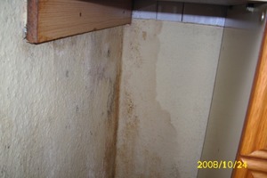  Feuchteschäden unterhalb einer unbelüfteten Küchenzeile in einem Wohnblock 