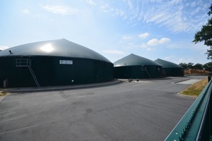  In Infokasten 1: 
Die Biogasanlage des Betreibers Benno Kruthaup in Damme versorgt ein Fernwärmenetz, das in drei unterschiedlich große Kreisläufe aufgeteilt ist. Das Heizwasser für das Wärmenetz wird durch eine Teilstromfiltrationsanlage aufbereitet. 