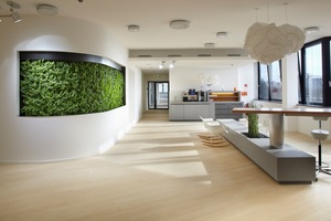  Integrierte Pflanzenwand im Bürogebäude – mehr als nur Designobjekt; Pro 1 m² Pflanzenwand werden ca. 1000 Setzlinge eingepflanzt, und pro 1 m² verdunsten ca. 3,5 l Wasser innerhalb von 24 h 
