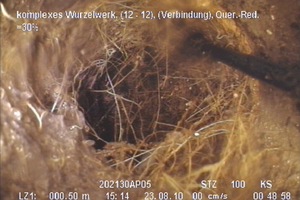  Typische Schadensbilder in Abwasserleitungen, links: schadhafte Innenauskleidung, rechts: Wurzeleinwuchs 