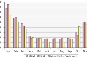  Gesamtbedarf und -verbrauchGegenüberstellung von monatlichem Gasbedarf und -verbrauch in [kWh] im Jahr 2010 