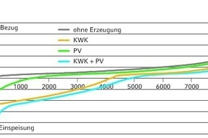  Leistung (Stundenmittelwerte, positiv Strombezug, negativ Stromeinspeisung) am Hausübergabepunkt bei unterschiedlichen dezentralen Erzeugungseinheiten 
