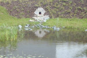  Überlauf vom Teich in eine Sickerfläche, die als flache Mulde mit bewachsenem Oberboden angelegt ist. 