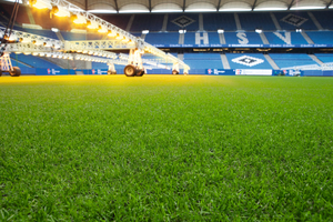  So muss der Rasen für ein Bundesligaspiel sein: dicht, grün und exakt 2,8 cm hoch. 