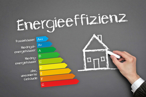  Ohne klare Vorgaben lässt sich die Energieeinsparverordnung nicht zielgerichtet umsetzen. 