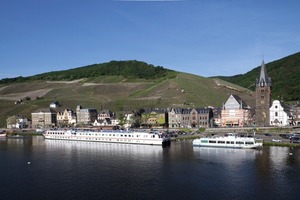  Deutschlands älteste noch praktizierende Rebenveredelung in Bernkastel-Kues 