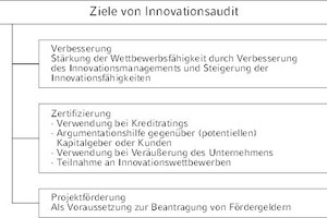  Bild 1: Mögliche Ziele von Innovationsaudits aus Unternehmenssicht. Quelle: Eigene Darstellung in Anlehnung an [11] 