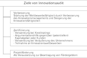  Bild 1: Mögliche Ziele von Innovationsaudits aus Unternehmenssicht. Quelle: Eigene Darstellung in Anlehnung an [11] 