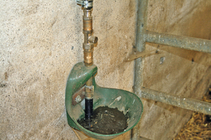  Schutz von Trinkwasser Tiertränke  