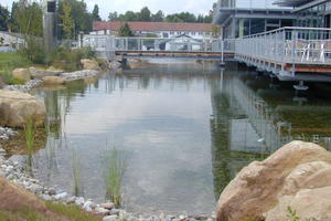  Teich am Verwaltungsgebäude, in den der Überlauf des unterirdischen Regenspeichers mündet 